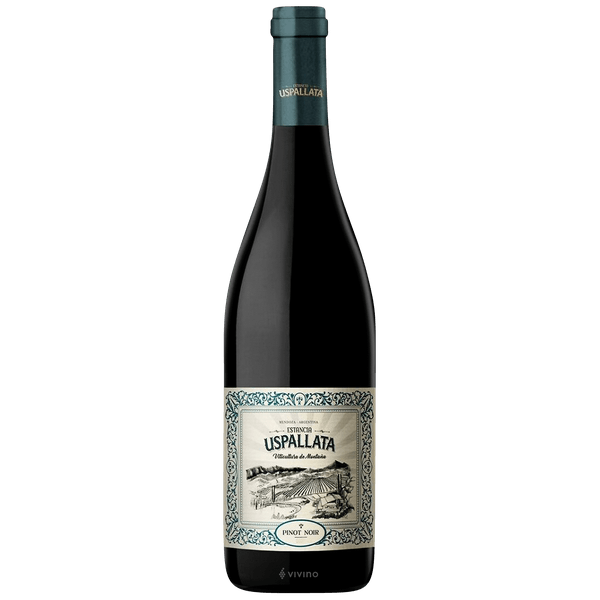 Uspallata Pinot Noir 750 ML bottle showcasing elegant Argentine red wine from Andes foothills with vibrant red fruit and floral notes