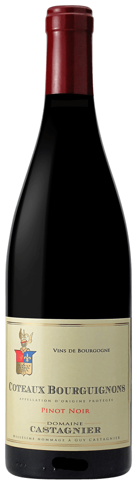 Domaine Castagnier Coteaux Bourguignons Rouge 2021 750 ML
