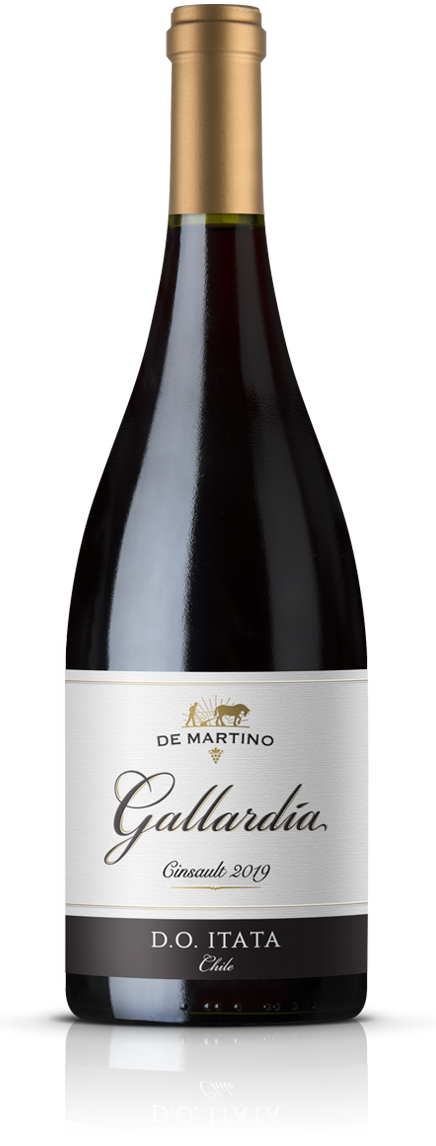 De Martino Cinsault Gallardia Valle Del Itata 2020 bottle, premium red wine from Valle Del Itata, Chile.