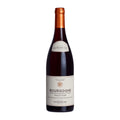 Patriarche Père & Fils Bourgogne Pinot Noir 2024 750 ML