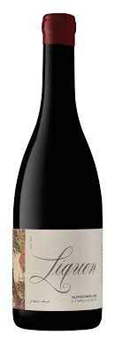 Joao Cabral Almeida Liquen Alfrocheiro 2020 750 ML