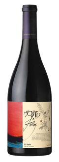 Montes Valle del Colchagua Syrah Folly 2019 750 ML