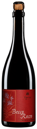 Fiorini Becco Rosso Lambrusco Grasparossa 2024 750 ML