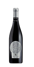 Sartori Di Verona Rosso Delle Venezie L'appassione 750 ML