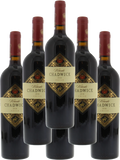 Chadwick Cabernet Sauvignon Puente Alto 2018 750 ML (6 Bottles)