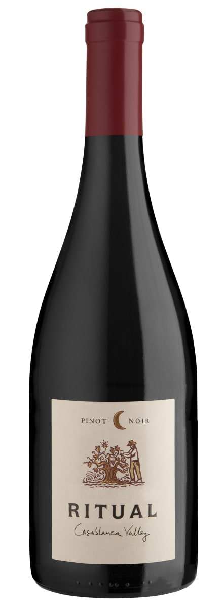 Pinot Noir Ritual Casablanca Valley 2019 750 ML Buy Now Online Website