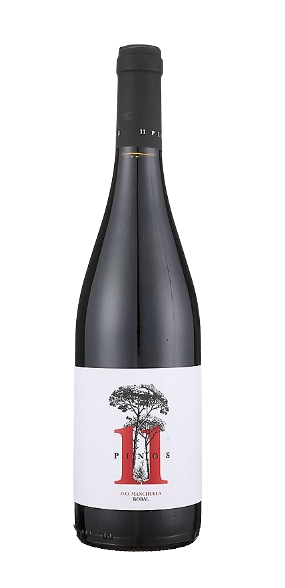 11 Pinos Bobal Old Vines Manchuela 2020 750 ML bottle Spanish red wine
