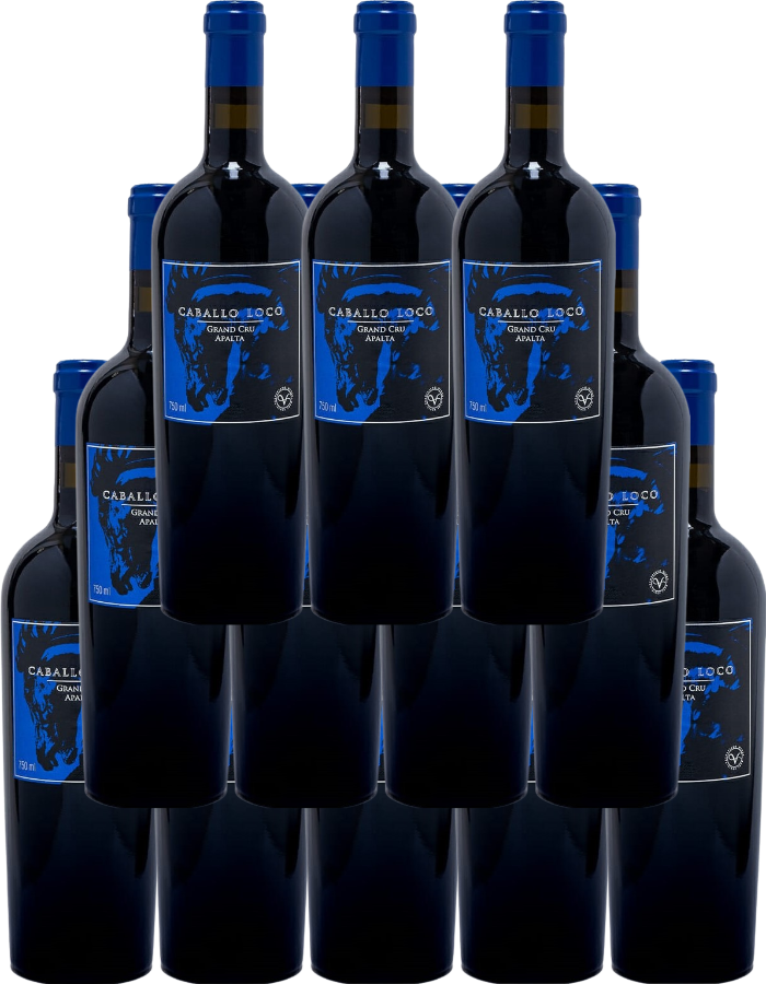 12-Bottle Case of Caballo Loco Grand Cru Apalta 2022 Red Wine