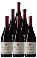 Robert Groffier Bourgogne Pinot Noir 2022 750 ML (6 Bottles)