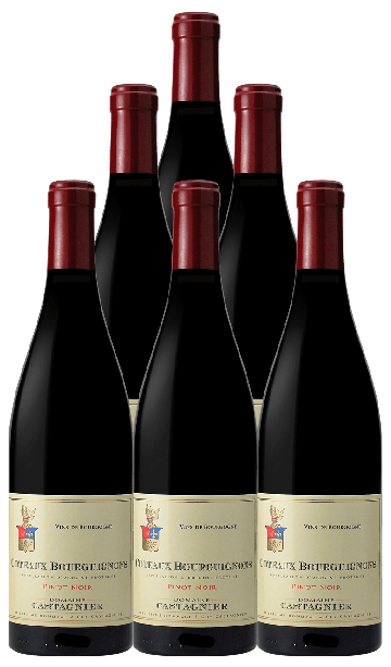 Domaine Castagnier Coteaux Bourguignons Rouge 2021 750 ML (6 Bottles)