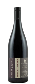 Thierry Germain Saumur Champigny Rouge Franc De Pied 2020 750 ML