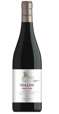 Tolloy Pinot Noir Vigneti Delle Dolomiti 2024 750 ML