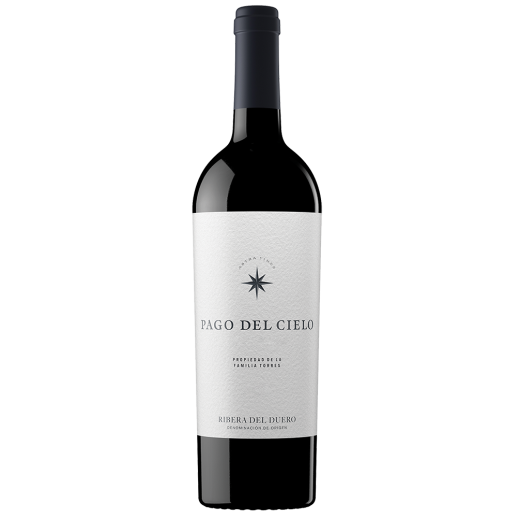 Torres Vinas Viejas 2019 750 ML