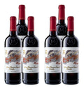 Castillo Ygay Rioja Gran Reserva Especial 2012 & 2011 Combo 750 ML (6 Bottles)