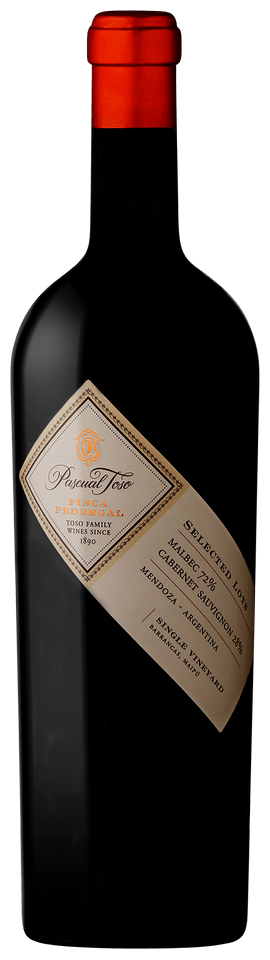 Pascual Toso Finca Pedregal 2021 750 ML