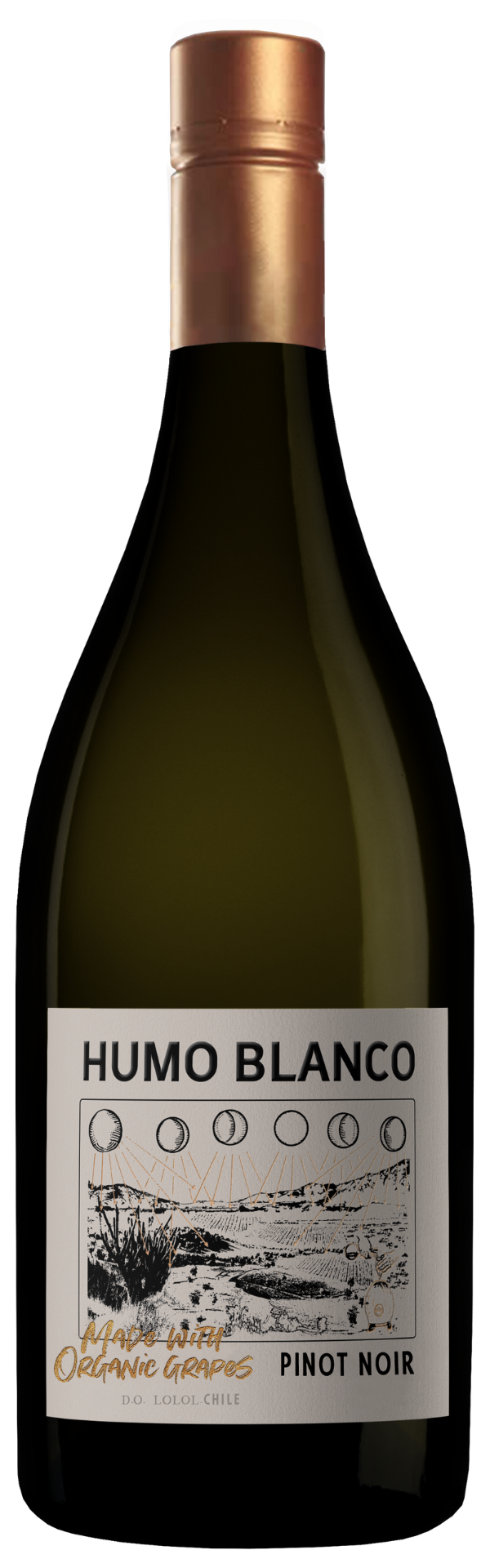 Araucano Humo Blanco Pinot Noir 2023 750 ML