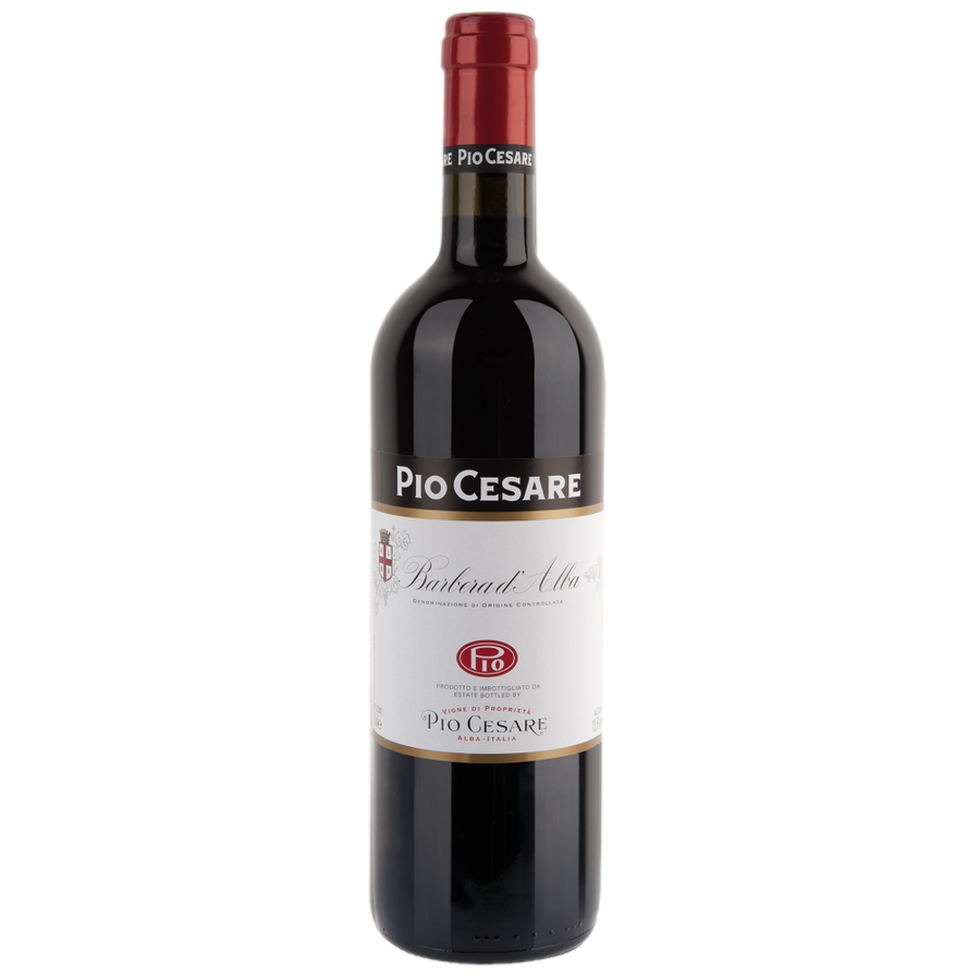 Pio Cesare Barbera D'alba 2023 750 ML