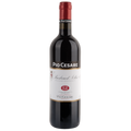 Pio Cesare Barbera D'alba 2023 750 ML