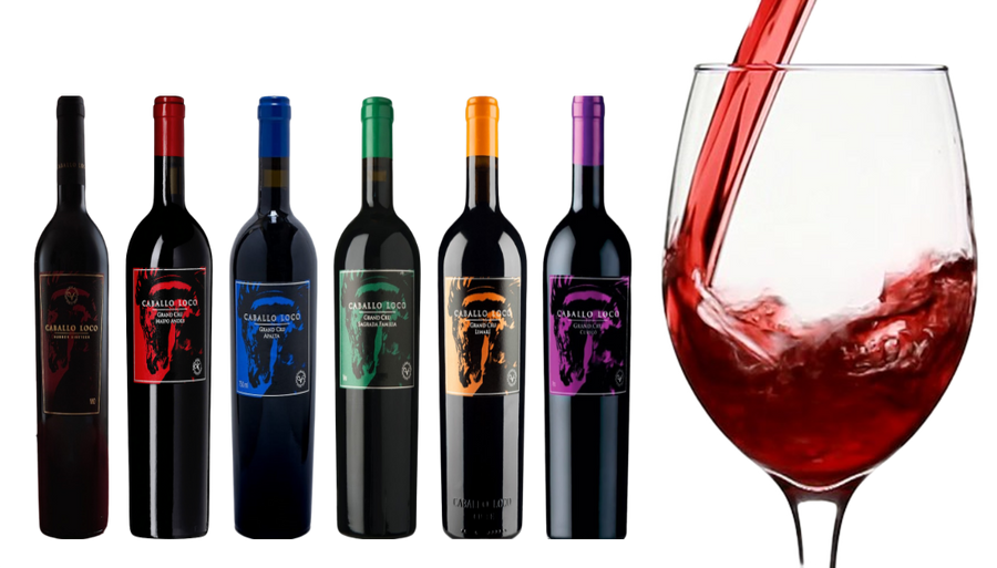 6-bottle case of Caballo Loco Combo 750 ML wine collection