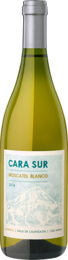 Cara Sur Moscatel Blanco Finca Maggio Barreal 2019 750 ML