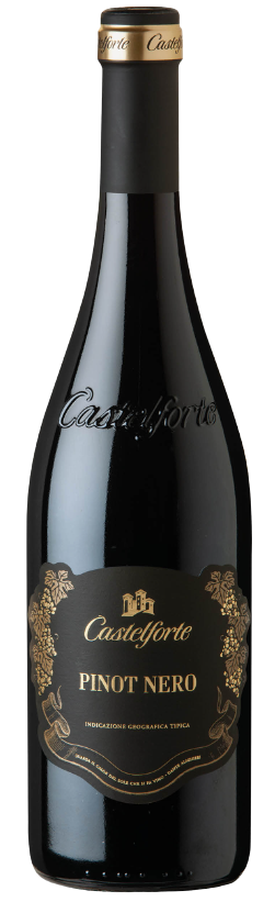 Casalforte Pinot Nero 2020 750 ML Italian red wine bottle, Veneto region.
