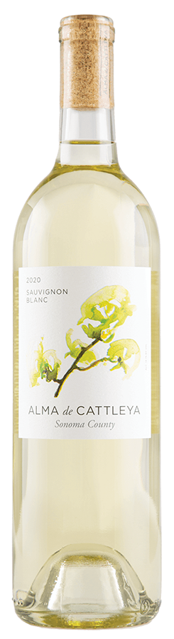 Cattleya Sauvignon Blanc Sonoma County 2023 750 ML