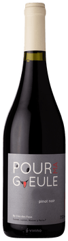 Clos des Fous Pinot Noir Pour Ma Gueule Valle del Itata 2024 750 ML
