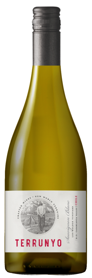Concha y Toro Terrunyo Sauvignon Blanc 2023 750 ML 
