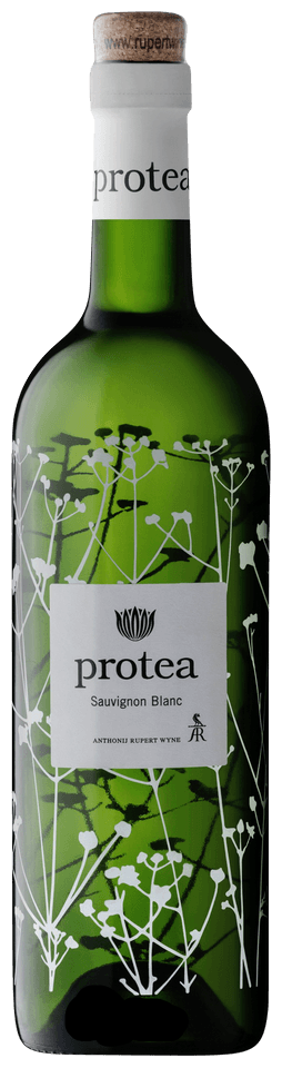 Protea Sauvignon Blanc 2025 750 ML
