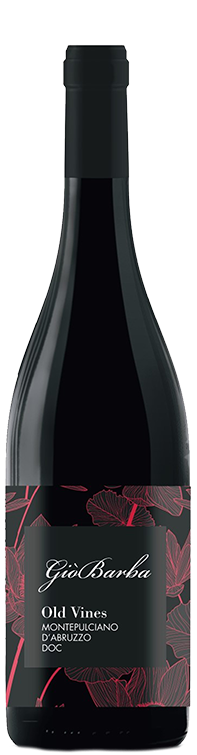Gio Barba Montepulciano d'Abruzzo Old Vines 750 ML