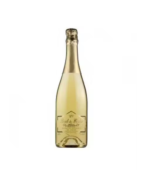 Guillaume Touton Brut De Peche 750 ML