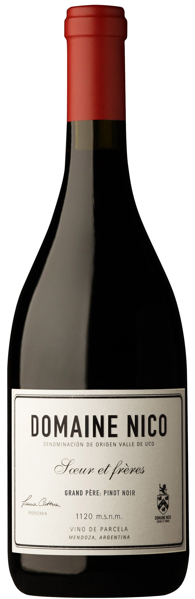 Domaine Nico Pinot Noir Grand Pere Mendoza 2022 750 ML