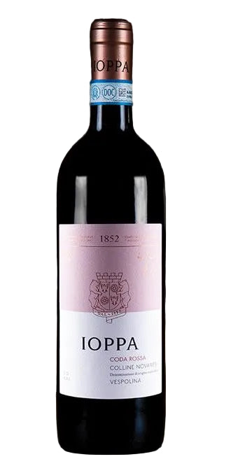 Ioppa Coda Rossa Colline Novaresi DOC Vespolina 2024 750 ML