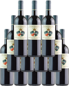 Jacopo Biondi Santi Sassoalloro 2019 750 ML (12 Bottles)