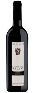 Terre di Bacco Langhe Nebbiolo 2019 750 ML