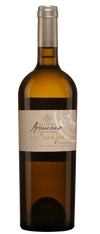 Araucano Clos de Lolol 2020 750 ML