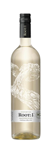 Root 1 Casablanca Sauvignon Blanc 2023 750 ML