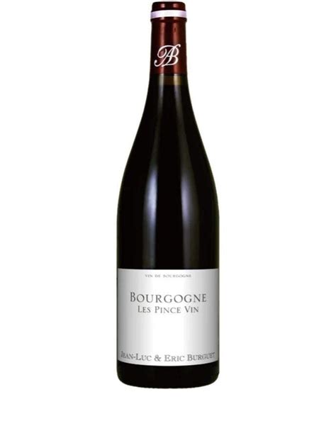 Alain Burguet Bourgogne Rouge Les Pince Vin 2023 750 ML