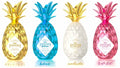 Pinaq Liqueur 34 Combo 750 ML (4 Bottles)