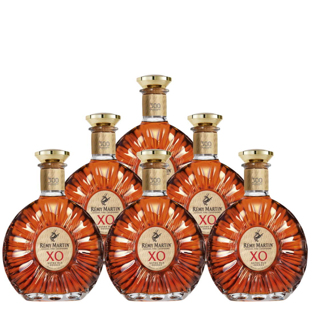 ブランデー 776695/REMY MARTIN XO SPECIAL 40% 700ml Remy Martin XO Special Edition 750ml | Lowest prices in NYC
