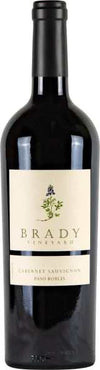 Brady Vineyard Cabernet Sauvignon Paso Robles 2022 750 ML bottle of red wine