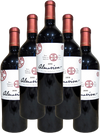 Almaviva Red Wine Puente Alto 2019 750 ML (6 Bottles)