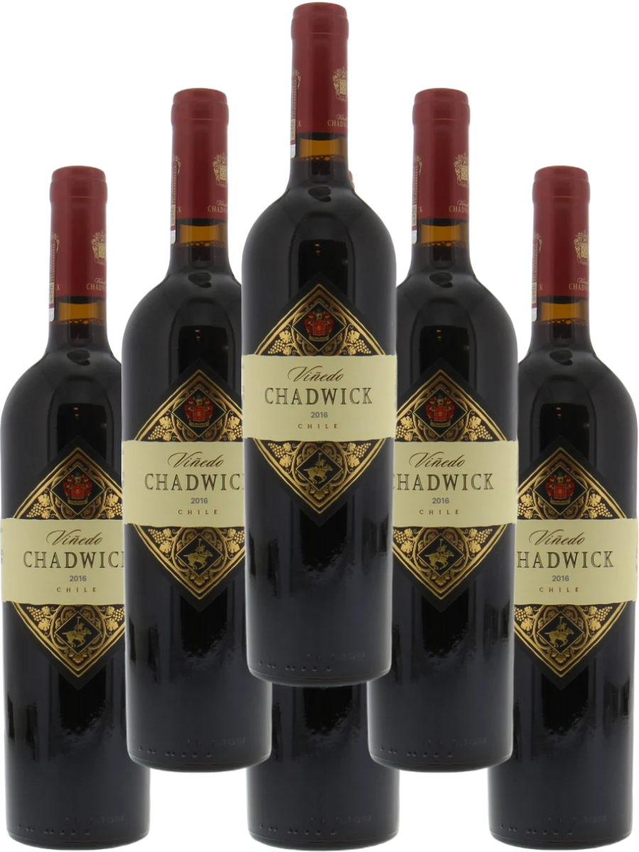 Chadwick Cabernet Sauvignon Puente Alto 2016 750 ML (6 Bottles) – luxurious Chilean wine with rich dark fruit flavors, smooth tannins, and an elegant finish.