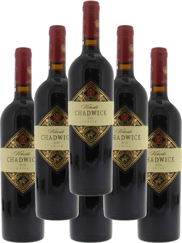 Chadwick Cabernet Sauvignon Puente Alto 2018 750 ML (6 Bottles)
