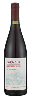 Cara Sur Moscatel Tinto Finca Maggio Barreal 2021 750 ML