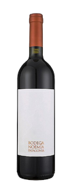 Bodega Noemia Malbec Rio Negro 2019 750 ML