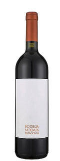 Bodega Noemia Malbec Rio Negro 2019 750 ML
