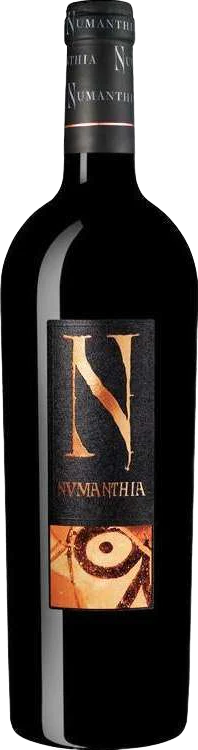Numanthia Toro 2017 750 ML red wine bottle with label featuring bold design.