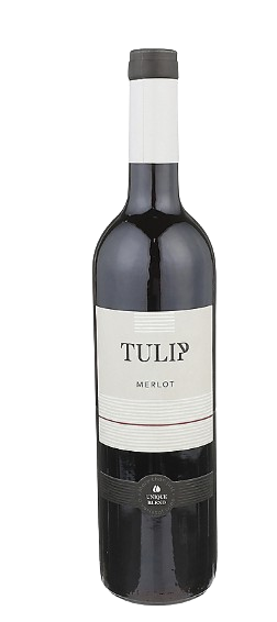Tulip Just Merlot Judean Hills 2021 750 ML