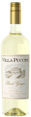 Villa Puccini Pinot Grigio Delle Venezie 2023 750 ML